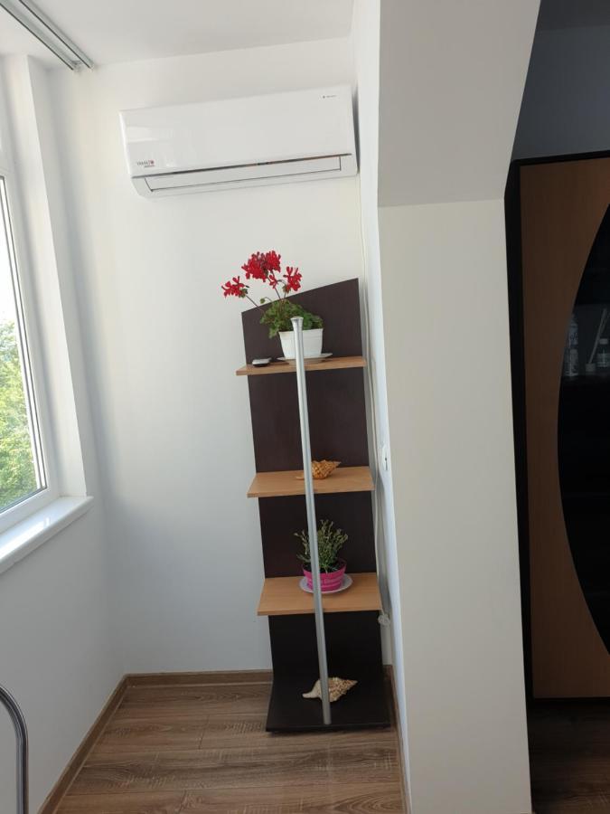 Apartament Diana ジュリロヴカ エクステリア 写真